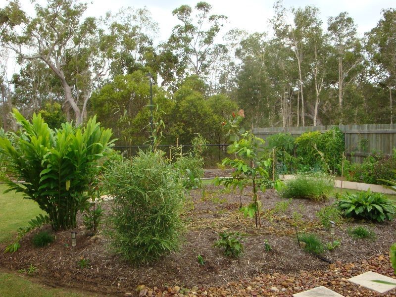 Cooloola Cove QLD 4580