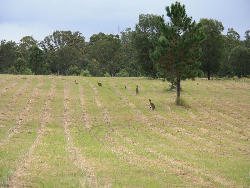 Glenwood QLD 4570