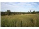 Glenwood QLD 4570
