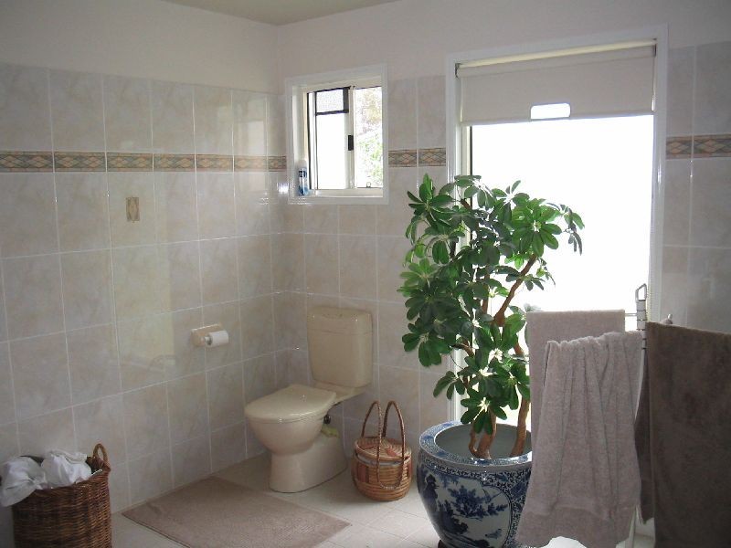 Pacific Haven QLD 4659