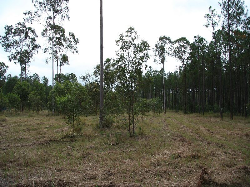Glenwood QLD 4570