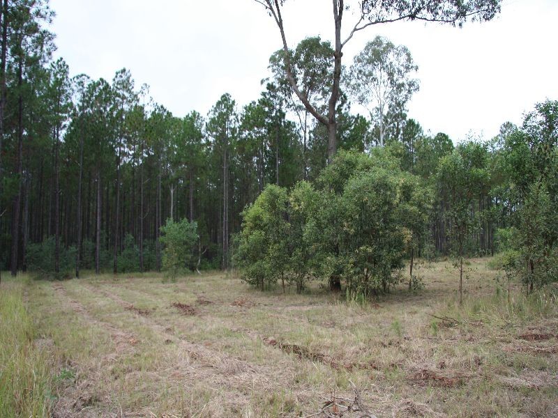 Glenwood QLD 4570