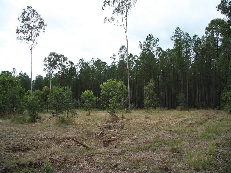 Glenwood QLD 4570