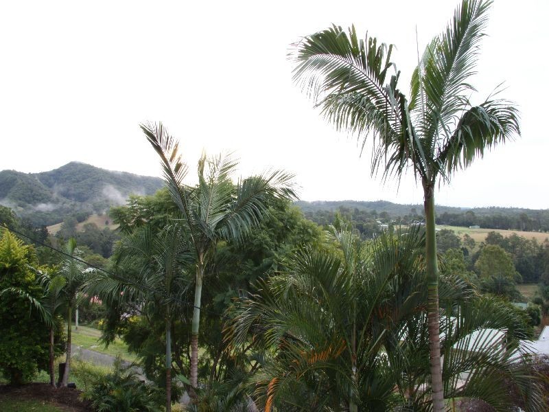 Imbil QLD 4570