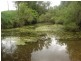 Kandanga QLD 4570