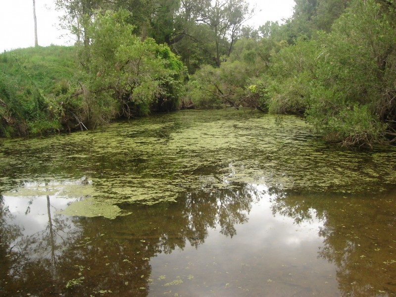 Kandanga QLD 4570