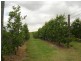 Amamoor QLD 4570