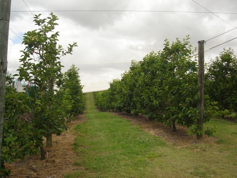 Amamoor QLD 4570
