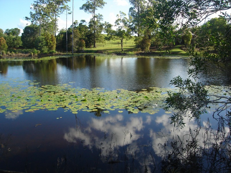 East Deep Creek QLD 4570