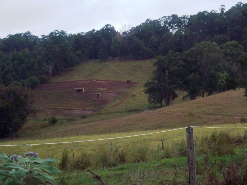 Wolvi QLD 4570