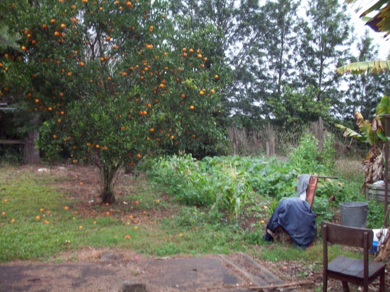 Wolvi QLD 4570
