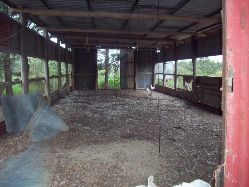 Wolvi QLD 4570