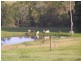 Pie Creek QLD 4570