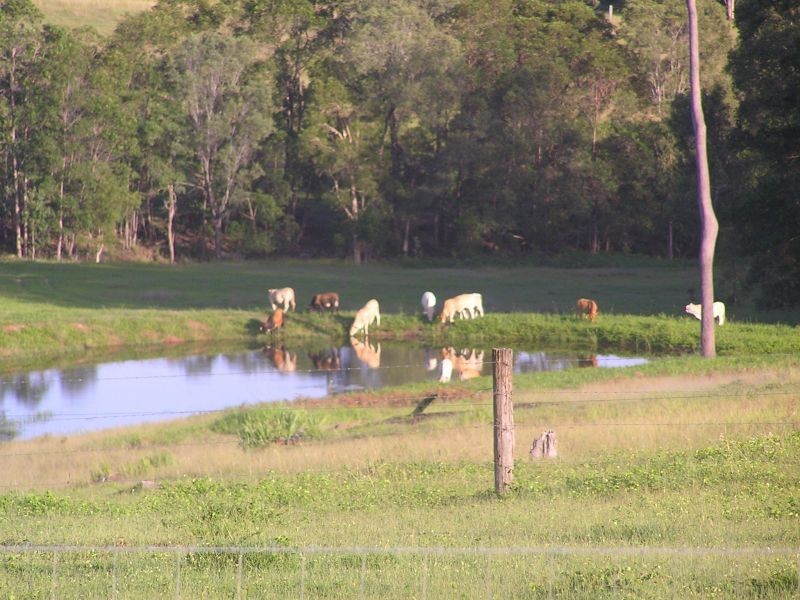 Pie Creek QLD 4570
