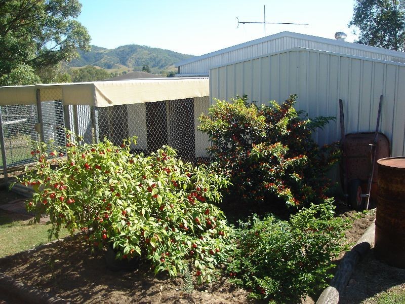 Chatsworth QLD 4570