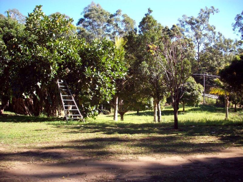 Wolvi QLD 4570