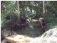 Wolvi QLD 4570
