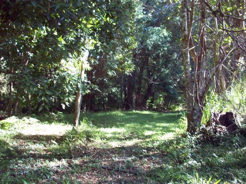 Wolvi QLD 4570