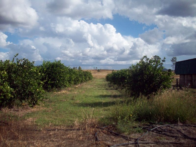 Sexton QLD 4570