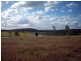 Sexton QLD 4570