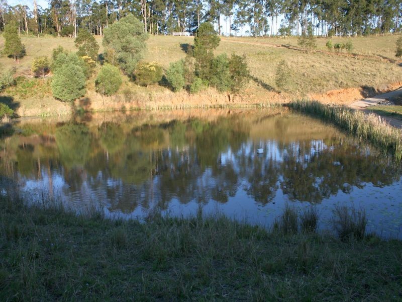 Veteran QLD 4570