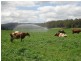 Neusa Vale QLD 4570