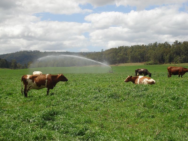Neusa Vale QLD 4570