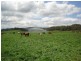 Neusa Vale QLD 4570