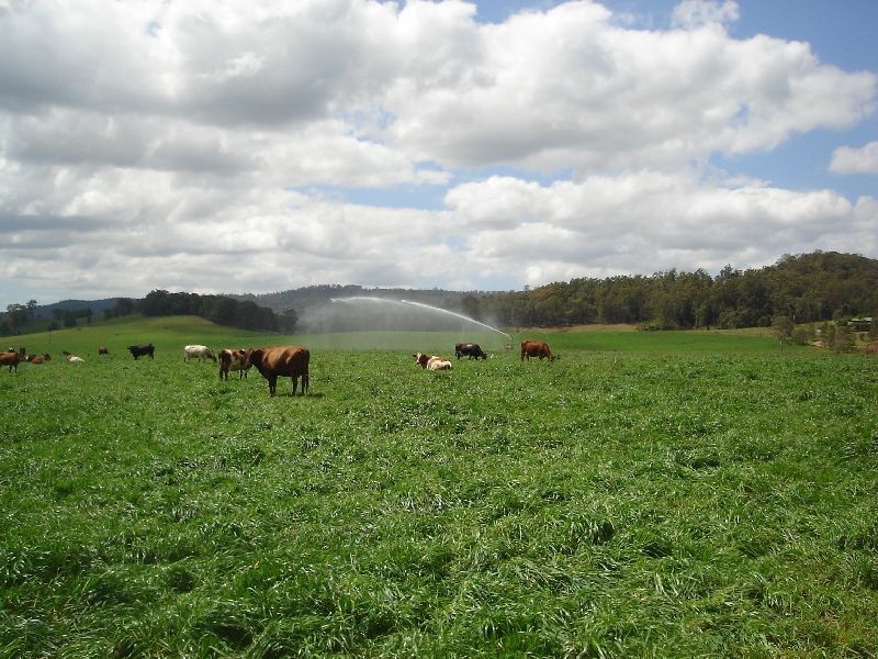 Neusa Vale QLD 4570