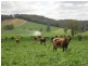 Neusa Vale QLD 4570
