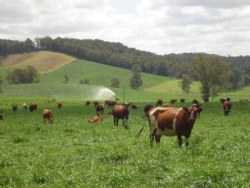 Neusa Vale QLD 4570