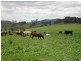 Neusa Vale QLD 4570