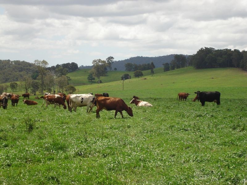 Neusa Vale QLD 4570