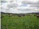 Neusa Vale QLD 4570