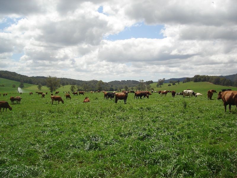 Neusa Vale QLD 4570