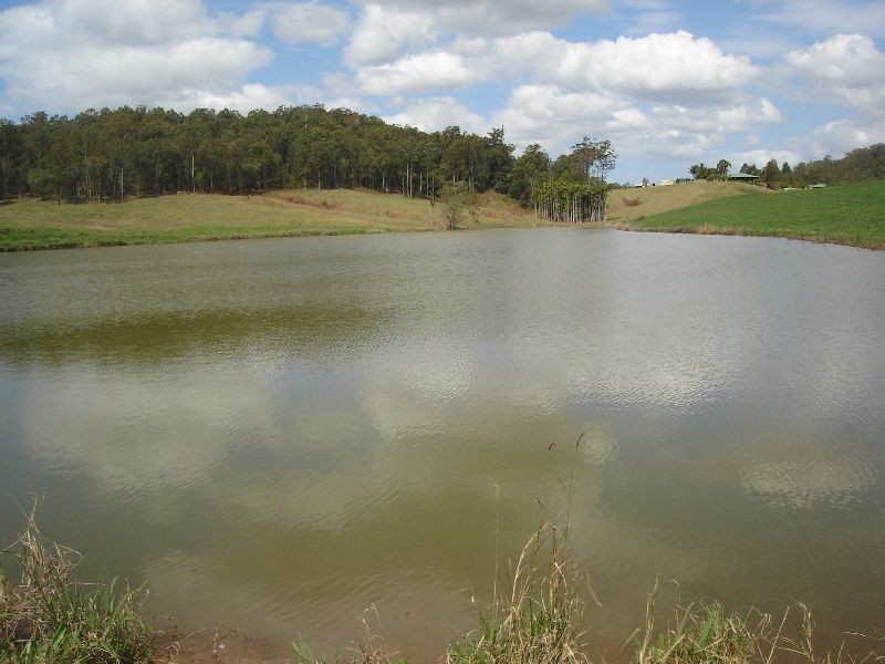 Neusa Vale QLD 4570