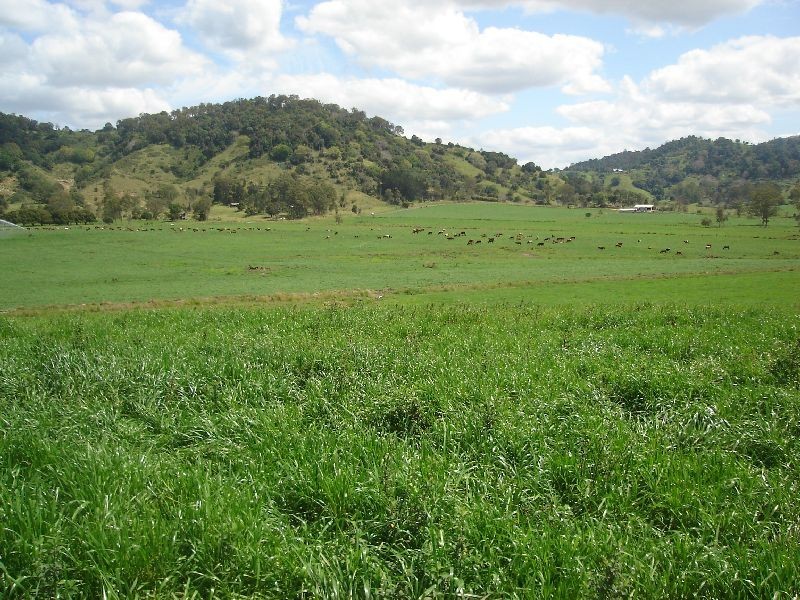 Neusa Vale QLD 4570