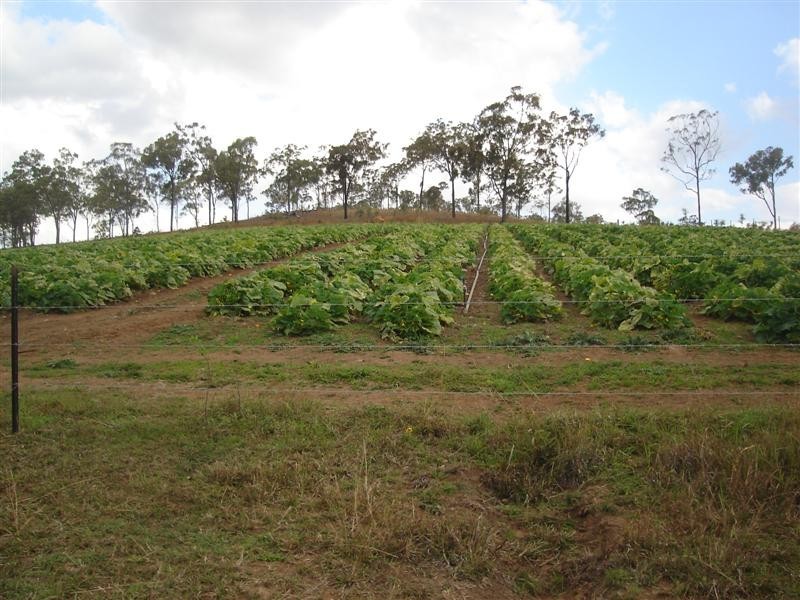 Widgee QLD 4570