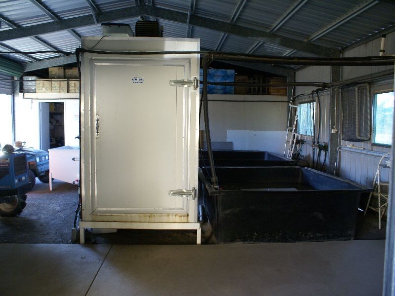 Wolvi QLD 4570