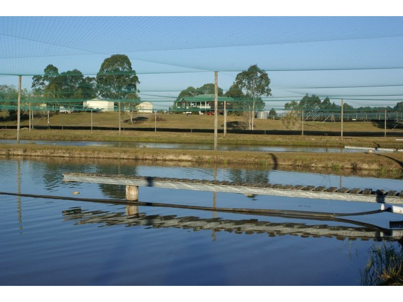 Wolvi QLD 4570