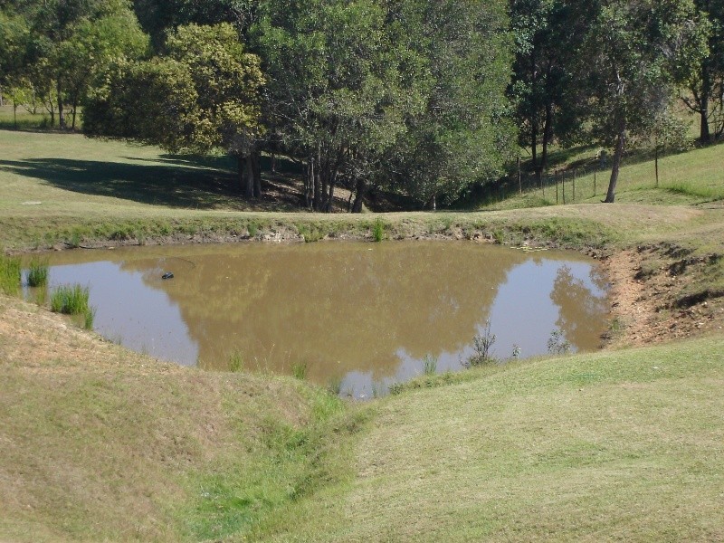 Mothar Mountain QLD 4570