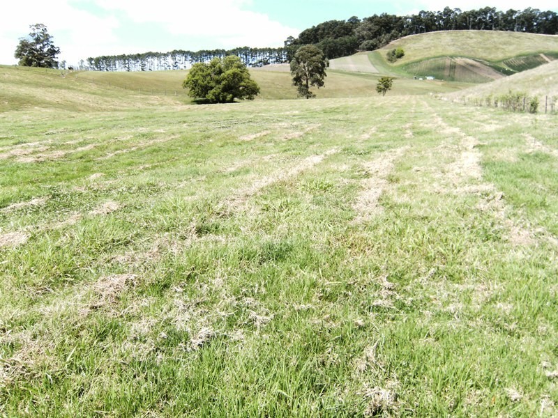 Goomboorian QLD 4570