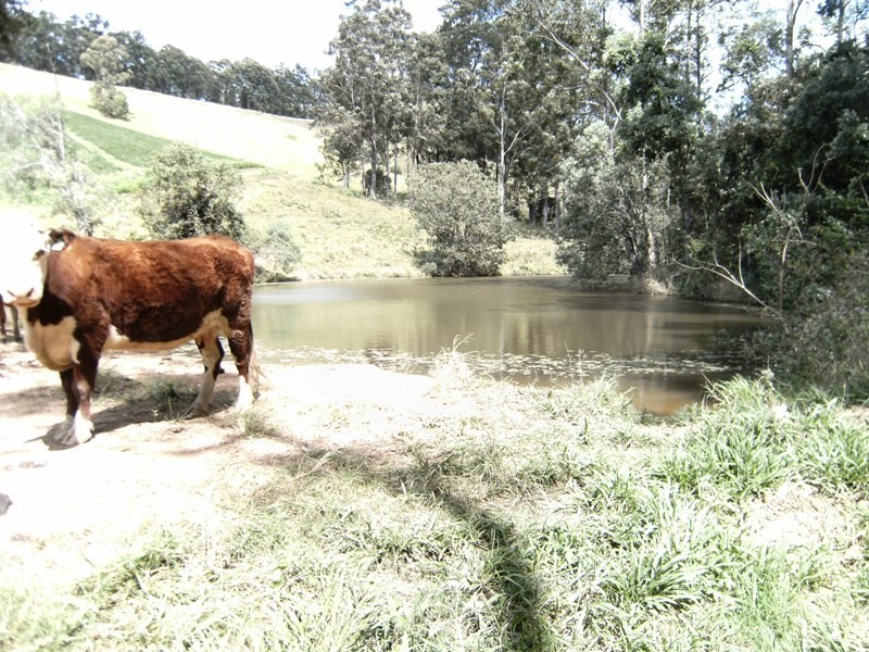 Goomboorian QLD 4570