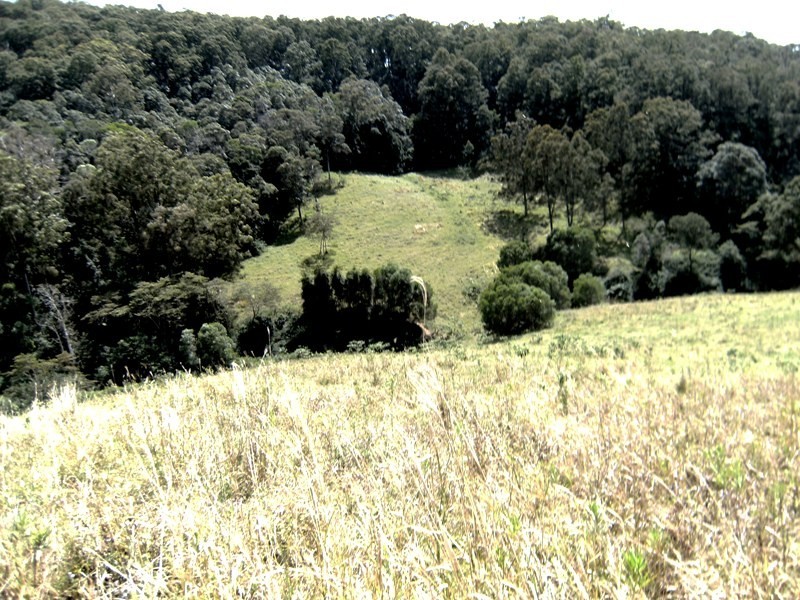 Goomboorian QLD 4570