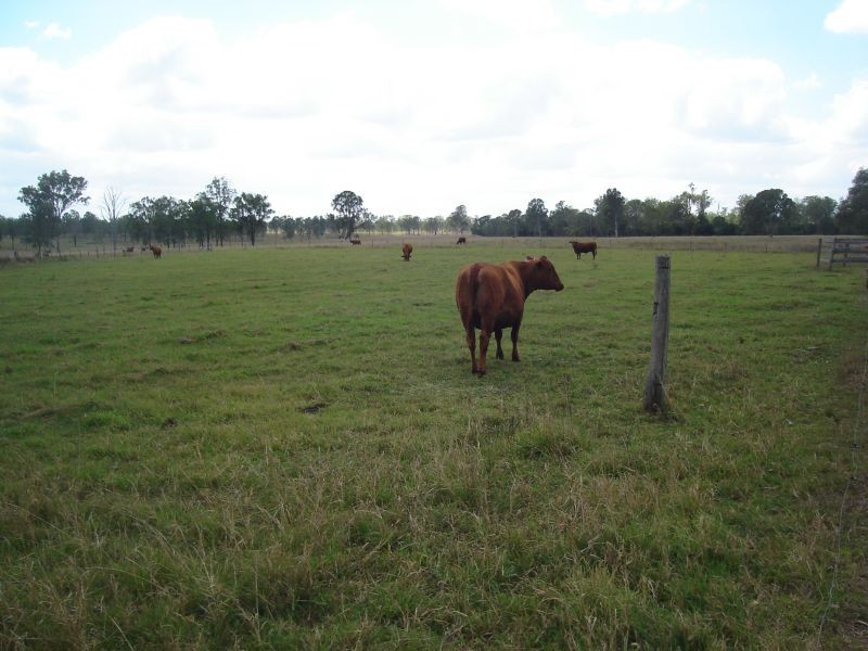 Lower Wonga QLD 4570