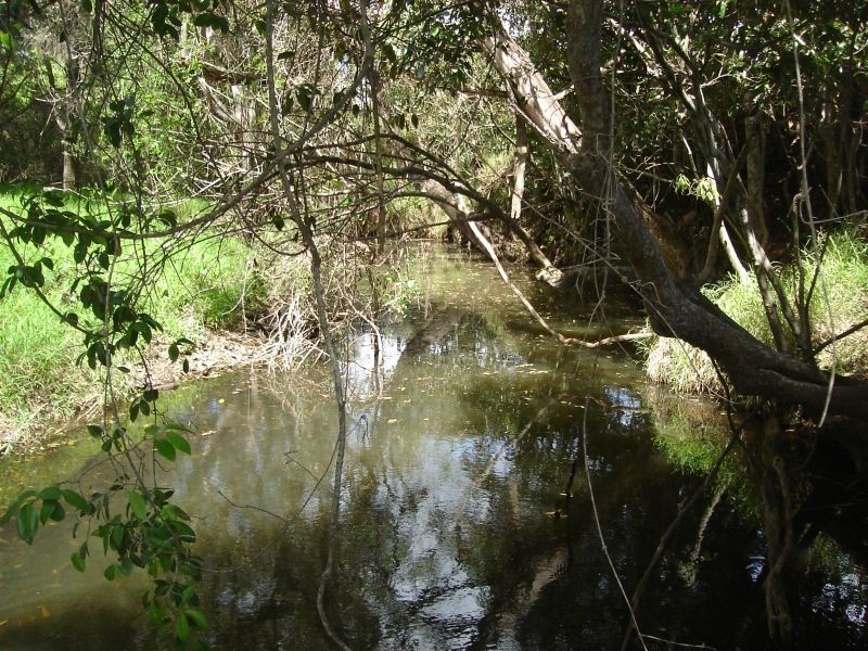 Lower Wonga QLD 4570