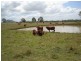 Lower Wonga QLD 4570