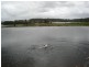Anderleigh QLD 4570