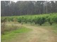 Anderleigh QLD 4570