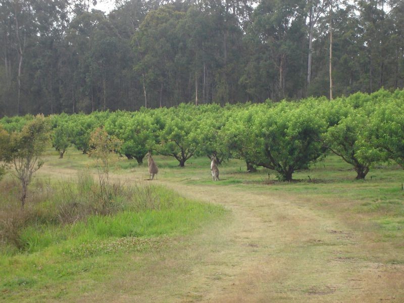 Anderleigh QLD 4570